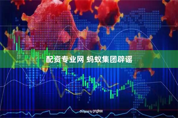 配资专业网 蚂蚁集团辟谣