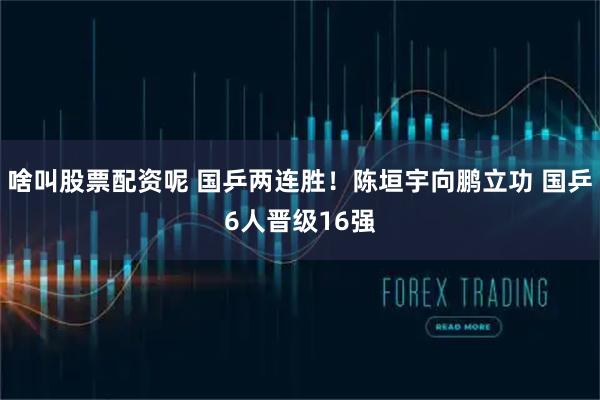 啥叫股票配资呢 国乒两连胜！陈垣宇向鹏立功 国乒6人晋级16强